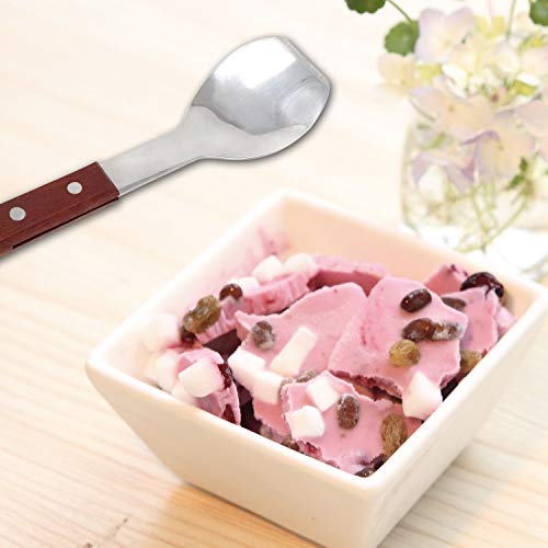 Honbay Stainless Steel Ice Cream Scoop with Wooden Handle