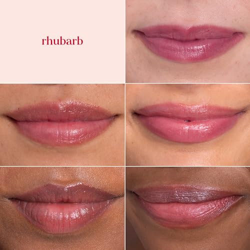 Burt's Bees Lip Shimmer Rhubarb 4-Count — Shimmer Lip Tint Set, 100% Natural