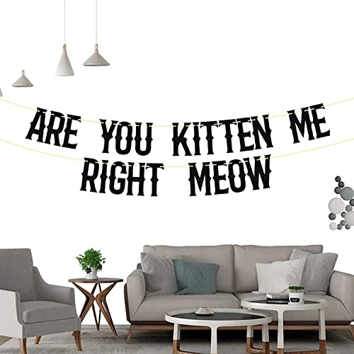 Are You Kitten Me Right Meow Banner - Black Glitter Cat Birthday Decor