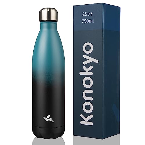 25 oz Insulated Stainless Steel Water Bottle - Indigo Black