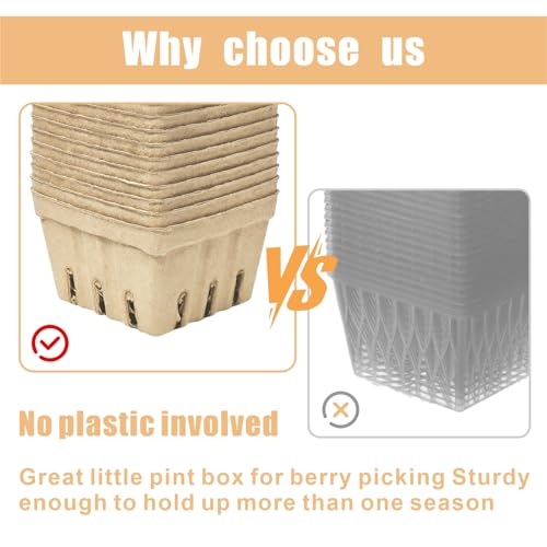 30 Pcs Small Vented Berry Baskets - Natural Pulp Fiber Containers