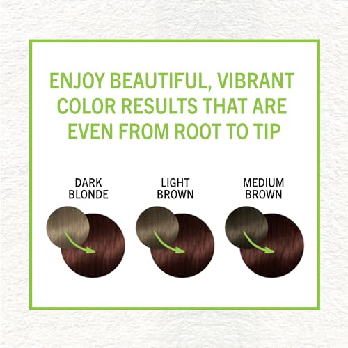 Schwarzkopf Simply Color 4.68 Chocolate Cherry Hair Dye - No Ammonia, Up to 100% Gray Coverage
