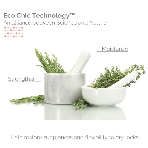 GIOVANNI Eco Chic 50:50 Travel Size Hydrating Shampoo & Conditioner Set (2 Fl Oz x 2)