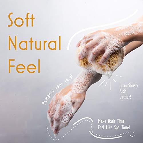 myHomeBody Bath Sponge, Foam Loofah, Body Scrubber for Bathing, Exfoliating Shower Pouf for Shower ? Large Size, Lots of Lather, Curvy, 2 Pack