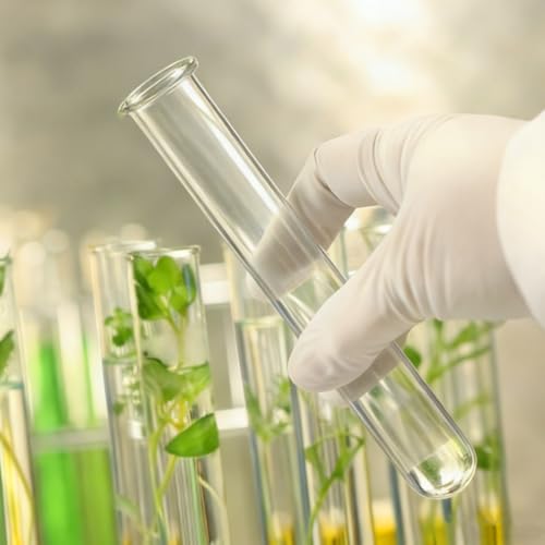 Hydroponic Plant Propagation Tubes - 4 Clear Glass Vases for Home
