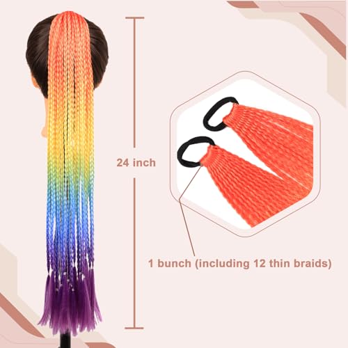 Rainbow Braided Ponytail Extension - 24 Inch Colorful Hairpiece