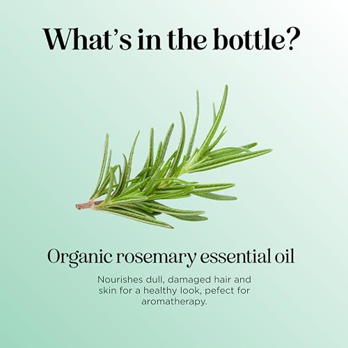Maple Holistics Organic Rosemary Oil for Hair & Skin - 1 Fl Oz