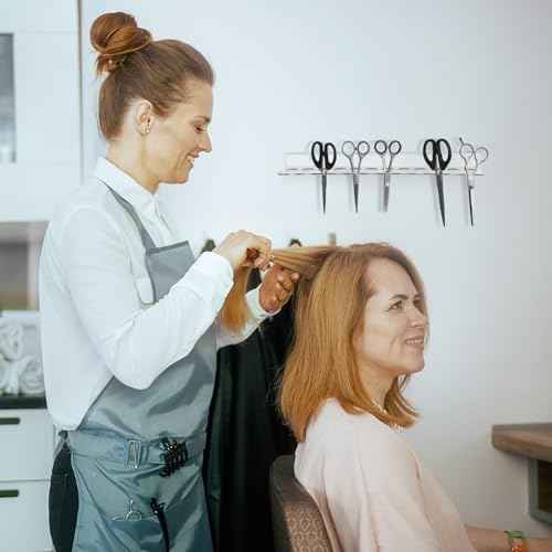 Briwooody 12 Slot Acrylic Wall Mounted Scissor Organizer - Hair Stylist Tool Rack (Variation 1)