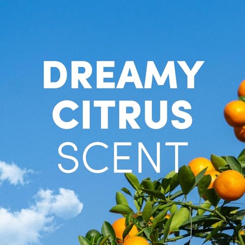 Clean Revolution Dreamy Citrus Foaming Hand Soap Refill - 14 oz, Pack of 4 | Sulfate-Free & Moisturizing