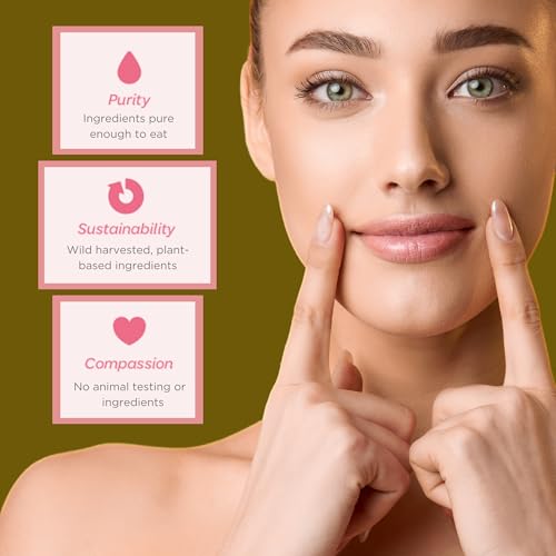 Ellovi Natural Coffee Lip Butter, Vegan Moisturizing Lip Balm (3 Pack)