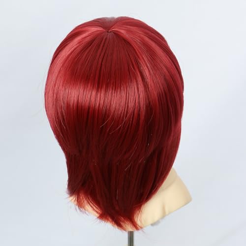 Tzncos Deark Red Wolf Tail Dome Wig Short Style for 1/3 BJD Doll