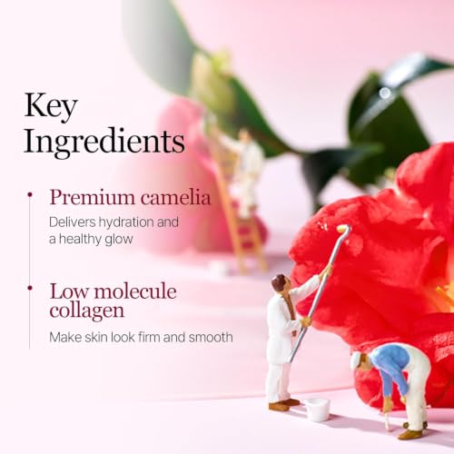ROUND LAB Camellia Collagen Mask - 4 Pack Hydrogel Facial Mask for Sensitive Skin
