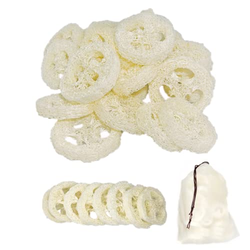 2 Inch Natural Loofah Slices - Pack of 25 Reusable Exfoliating Sponges for Skin & DIY Soap Making
