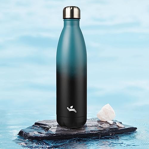 25 oz Insulated Stainless Steel Water Bottle - Indigo Black