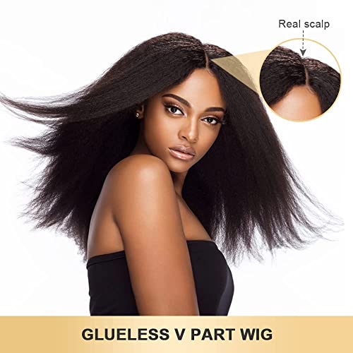 Emistar 20 Inch Kinky Straight V Part Wig - Glueless Synthetic Blend