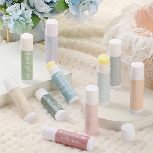 Swiffen 30 Sets Employee Appreciation Lip Balm Gift Sets with Inspirational Quotes - Bulk, Macaron Design, 5 Flavors