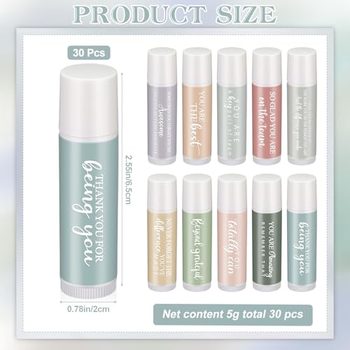 Swiffen 30 Sets Employee Appreciation Lip Balm Gift Sets with Inspirational Quotes - Bulk, Macaron Design, 5 Flavors