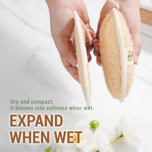 Natural Loofah Exfoliating Body Scrubber Pads - Oval, 3 Pack