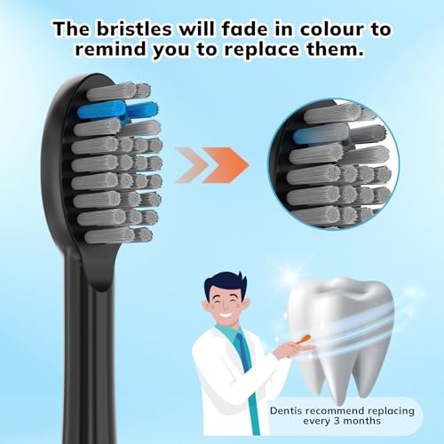 3-Pack Replacement Toothbrush Heads for Waterpik Sonic Fusion - Black