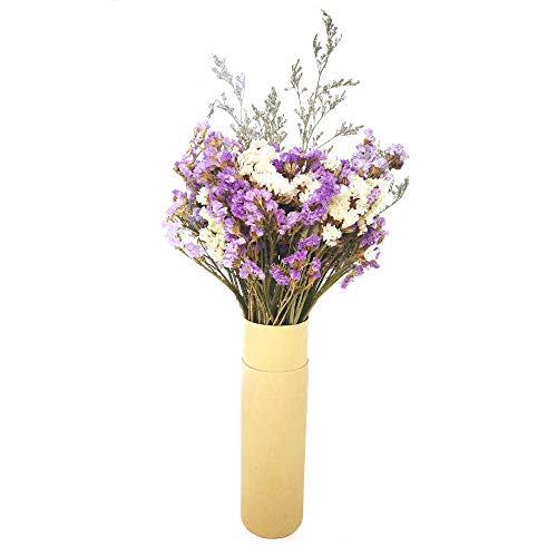 HOSSIAN 100 Natural Rattan Reed Diffuser Sticks - 9" x 3mm