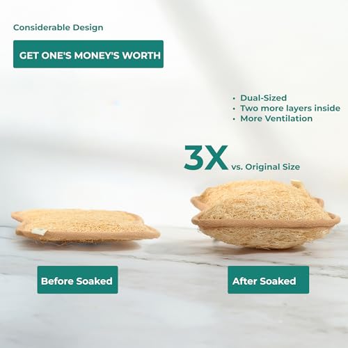 Large Natural Dual-Sided Loofah Sponge - Pack of 3, Exfoliating Bath Scrubber