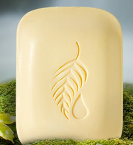 Melaleuca Pineapple Mango Bath Bar - 4.5 oz Tropical Soap