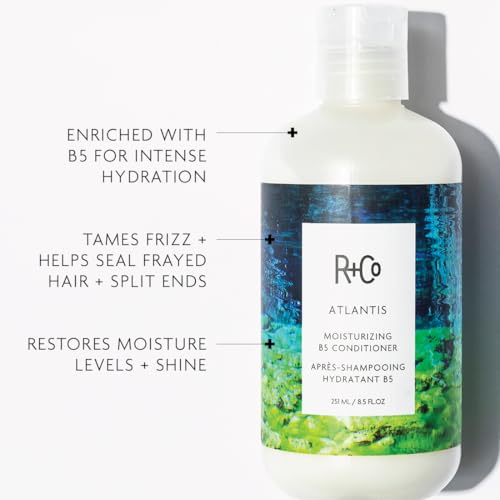 R+Co Atlantis Moisturizing B5 Conditioner for Dry and Damaged Hair
