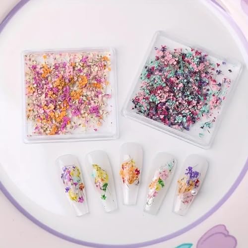 POWPOP Style-04 3D Dried Flower Nail Art Stickers, Colorful Floral Decals for Summer Manicure