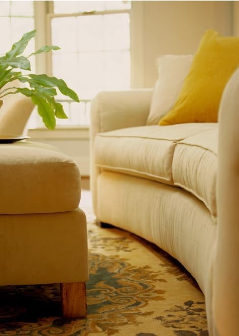 HOWARD Upholstery Cleaner Spray - 16 oz Stain Remover for Couches, Chairs, and Rugs