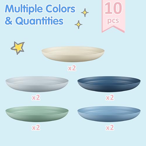 Quatish 10-Piece Reusable Plastic Dinner Plates - 8 Inch, Lightweight & Unbreakable, Dishwasher & Microwave Safe