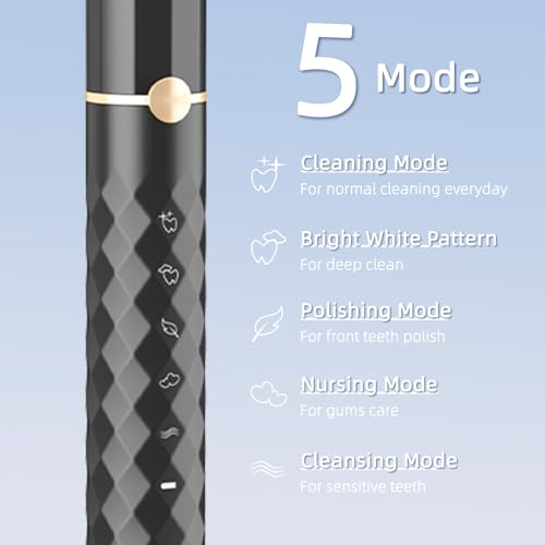 Seapeoa Sonic Electric Toothbrush Set with 10 Brush Heads & Travel Case