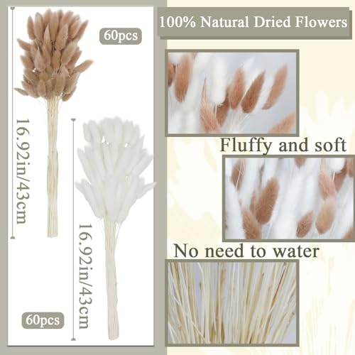 CISDUEO 120pcs Dried Bunny Tails Flowers for Boho Decor