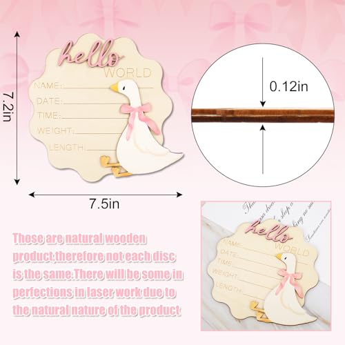 FYSUIMU Silly Goose Newborn Milestone Sign with Pink Bow