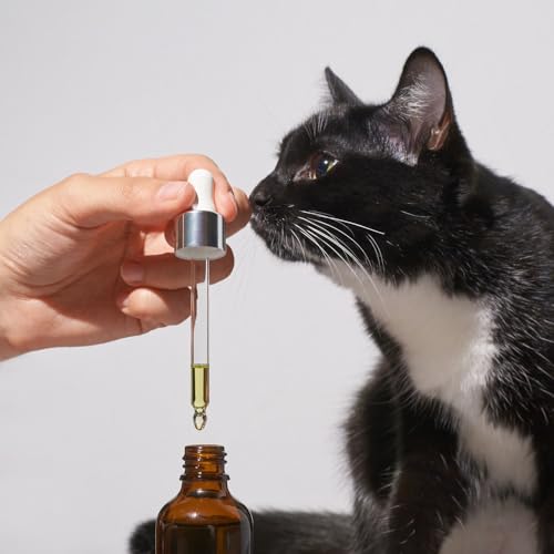 Aceite de Ricino Orgánico Puro para Cabello, Pestañas y Cejas - 60ml, 1 Botella (Variation 1) - Negro Prensado en Frío