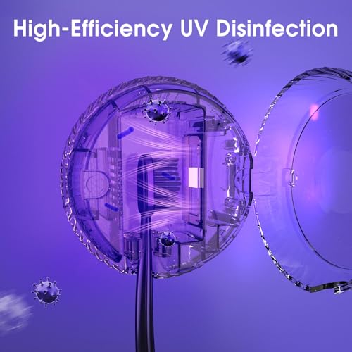 iHave Upgraded Black UV Toothbrush Sanitizer Wall Mount Holder
