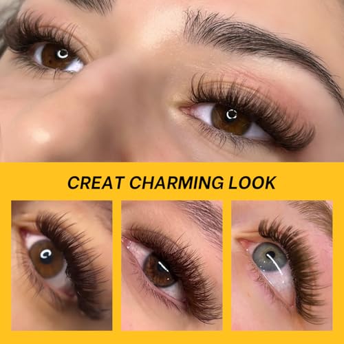 Kolybel 500 Premade Lash Fans 10D 0.07 C Curl Brown 12mm