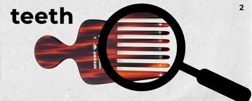 Speert Handmade Wide Tooth Hair Pick - Tortoise Acetate Detangling Comb