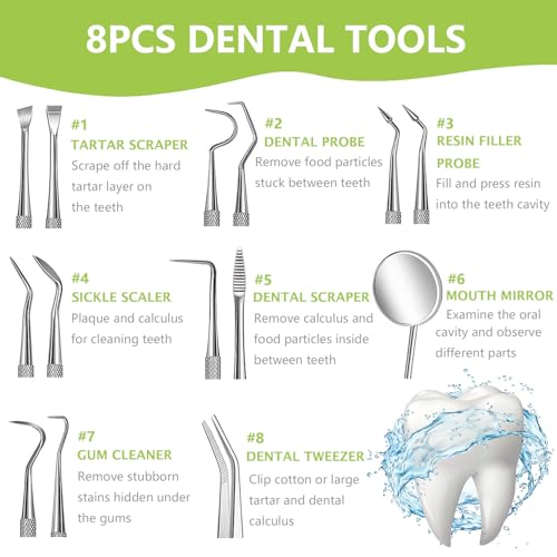 PARYUNGR 8-Piece Dental Tools Kit - Stainless Steel Plaque Remover