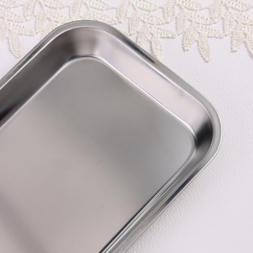 Stainless Steel Nail Art Storage Tray - 8.85x4.6 inches