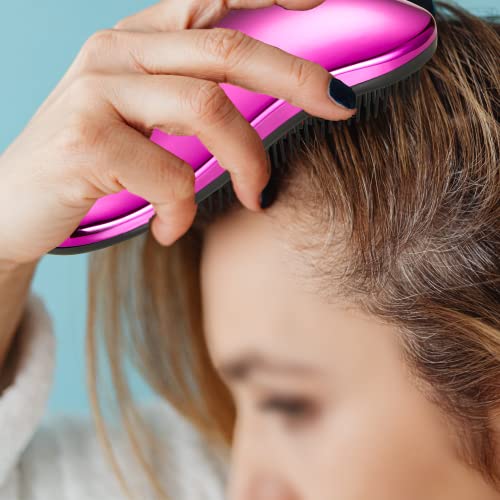 WYNK Detangling Hairbrush 2 Pack for Adults & Kids - Iridescent