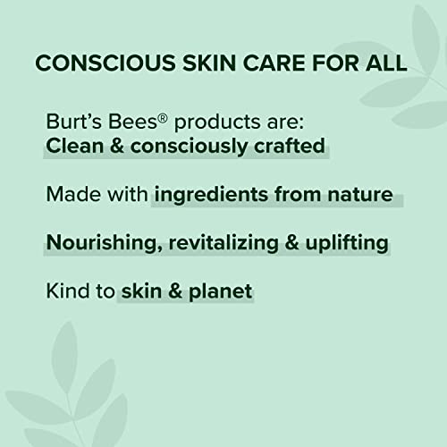 Burt's Bees Natural Moisturizing Lipstick Nile Nude 0.12oz - Long Lasting, All-Natural Lip Color