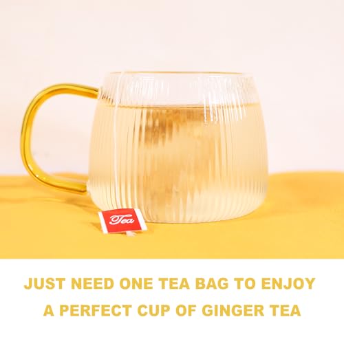 TEARELAE Pure Ginger Tea Bags - 64 Count for Digestion & Respiratory Health