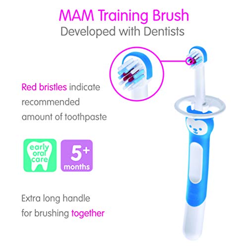 MAM Baby Training Toothbrush with Safety Shield & Character Brushy The Bear – Pink, Pack of 2, 5+ Months