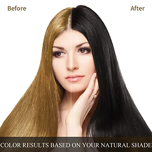 Ivnil Black Hair Dye Shampoo 3-in-1 for Gray Hair Coverage, 500ml