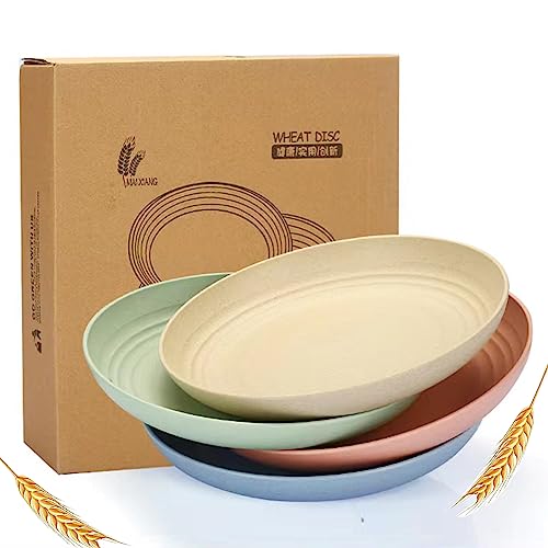 K Y KANGYUN 10 Inch Unbreakable Wheat Straw Dinner Plates Set of 4