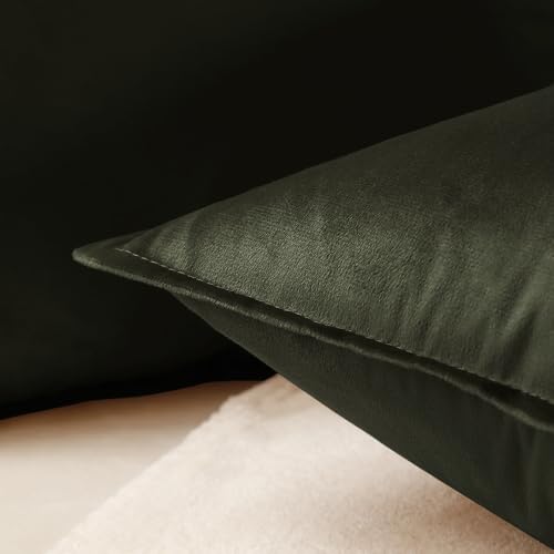 Olive Green Velvet Throw Pillow Covers 18x18 - Set of 2