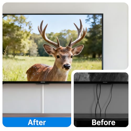 Delamu TV Cord Hider - Large Cable Covers for 3-4 Wires, White