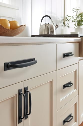 Amerock Maymont 6-5/16" Matte Black Decorative Cabinet Backplate