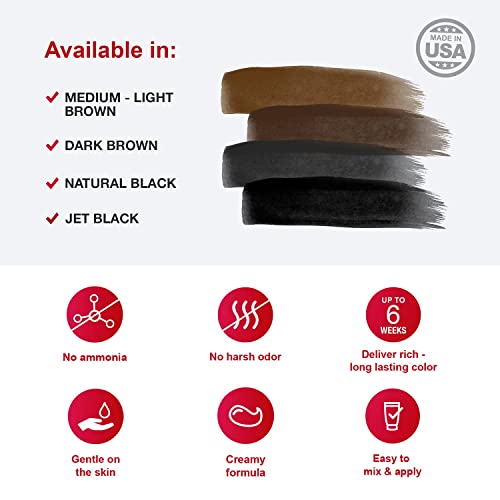 Godefroy Beard and Mustache Dye for Men - Jet Black, 6 Weeks of Gray Coverage