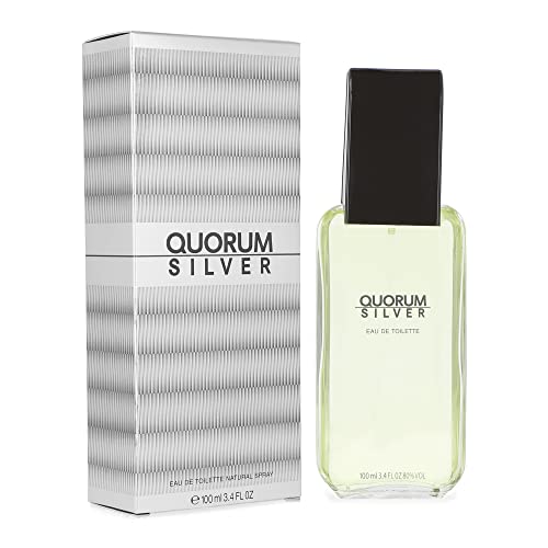Quorum Silver Cologne for Men - Woody Spicy EDT 3.4 oz